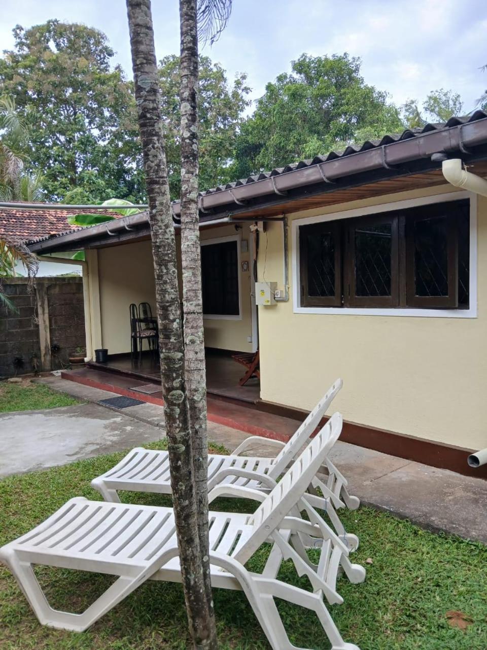 Fuchs Villas Negombo Zewnętrze zdjęcie