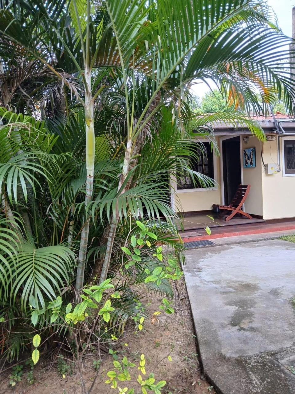 Fuchs Villas Negombo Zewnętrze zdjęcie